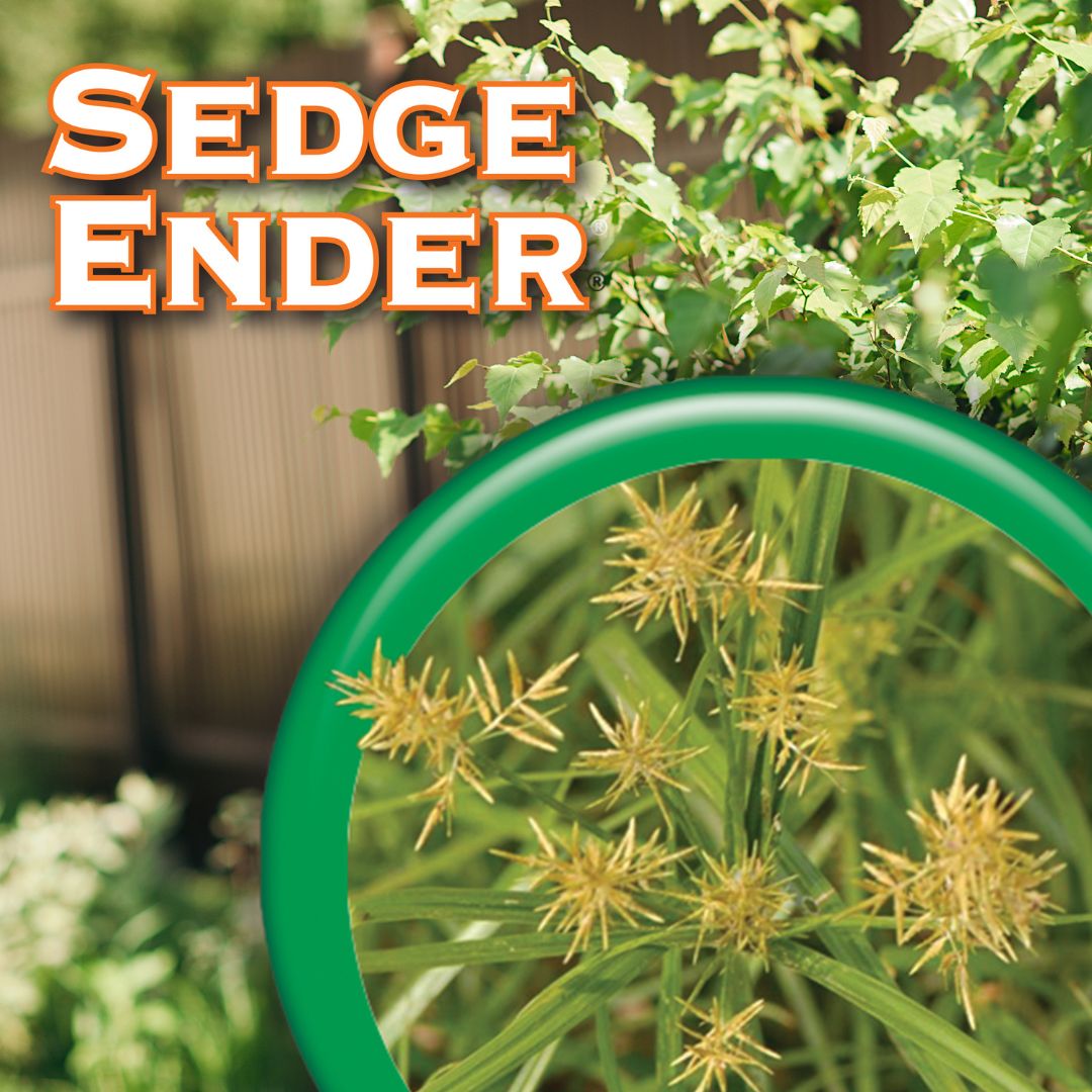 Sedge Ender Spray – Bonide – 16 oz